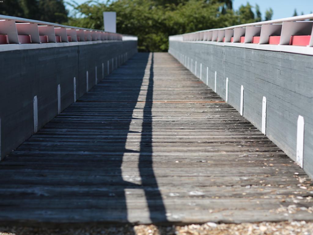 សារៈសំខាន់នៃការប្រកួតប្រជែងផ្ដល់ម៉ាកសម្រាប់ព្រឹត្តិការណ៍