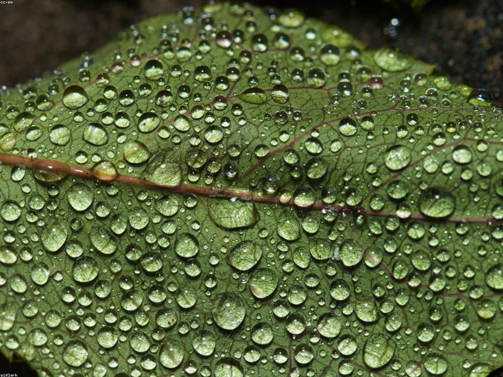 សូមមើលធម្មជាតិខ្មែរ