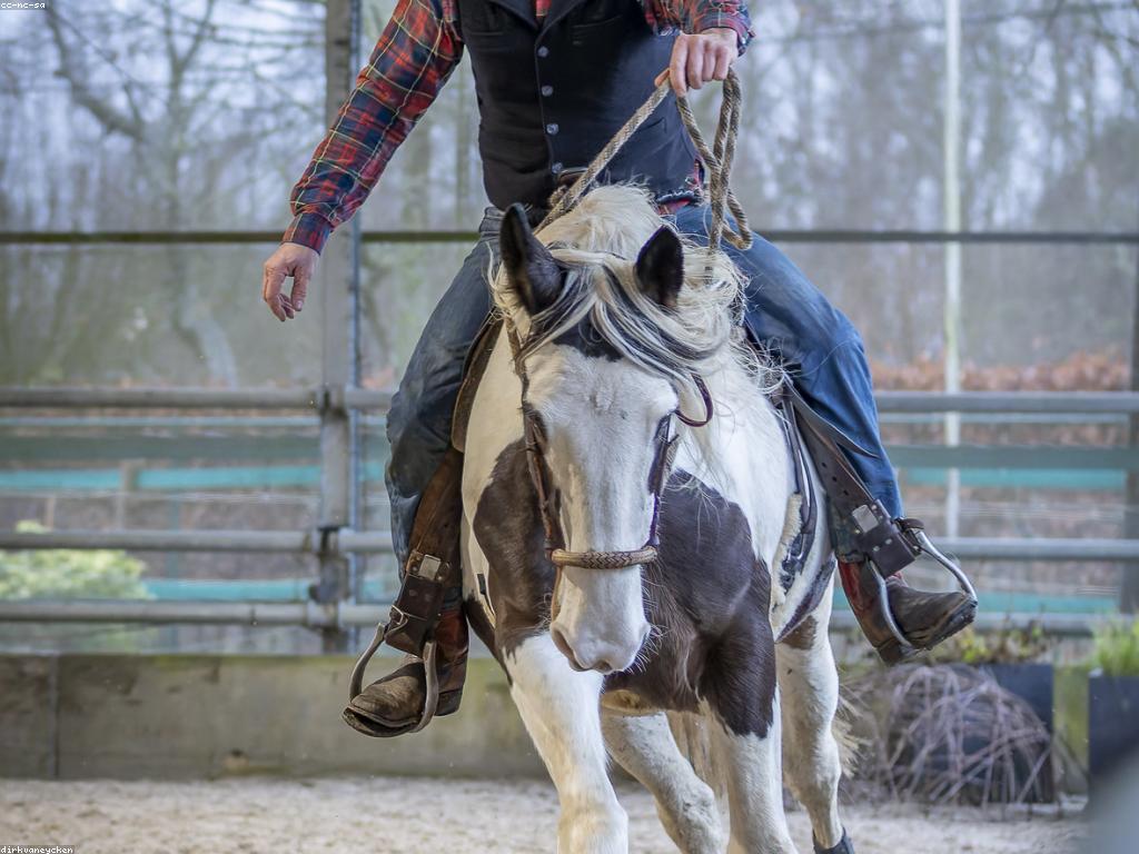 ការប្រកួត: ចំណេះដឹងអំពីការប្រកួតនិងការប្រកួតប្រជែង