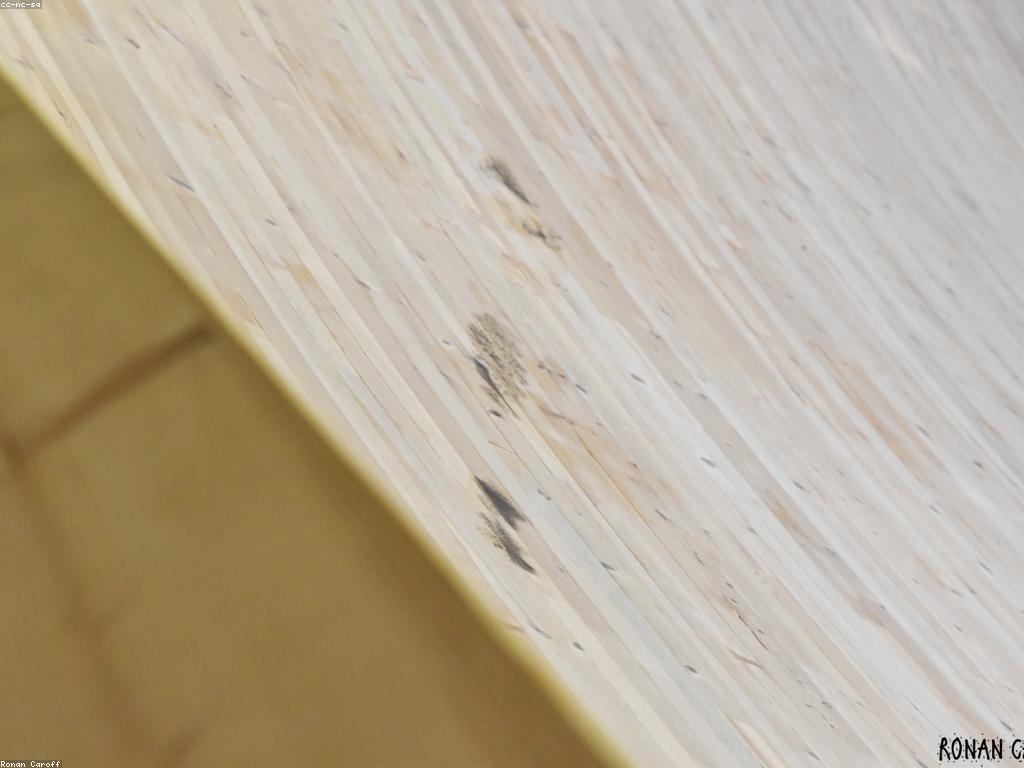 ការប្រកួត: ចំណេះដឹងអំពីការប្រកួតនិងការប្រកួតប្រជែង